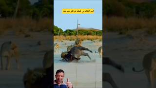 ​سر البقاء في لقطة لم تكن متوقعة!#shorts