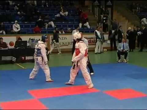 Trelleborg Open Taekwondo Championships 2008 Sweden Male -72 kg Sweden vs Azerbaijan 3