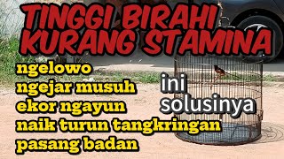 Download lagu HIGH LIBRA, LACK OF STAMINA, THIS IS THE SOLUTION mp3