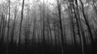 Forest of Fog - Gefallen im Reich des Nebels