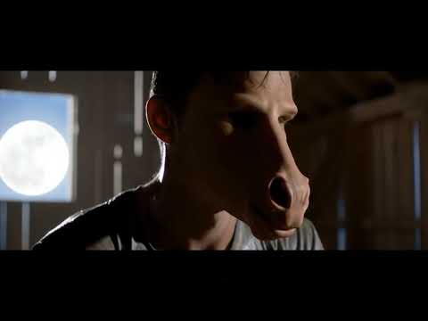 Werehorse transformation