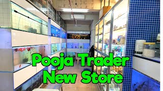 Pooja Trader New Aquarium Store