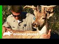 Game Wardens Plant Decoy To Catch Poachers Lone Star Law