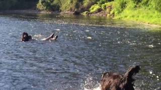 Lewis and Clark moments