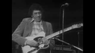 David Bromberg - Sloppy Drunk - 4/15/1977 - Capitol Theatre (Official)