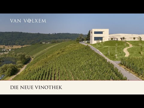 Weingut Van Volxem - die Vinothek