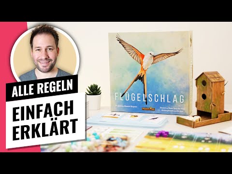 Flügelschlag direkt losspielen - Regelvideo - Nur 10 Minuten!