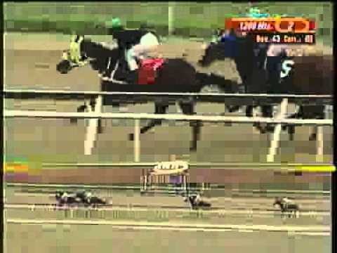 2DA CARRERA SAB 07 JUNIO LA RINCONADA CORTESIA INH TV Y AUDIOHIPISMO