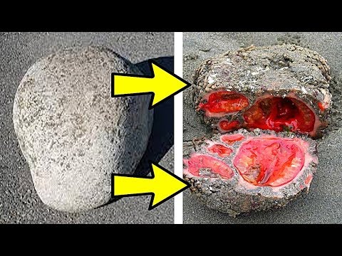 чит на хитин жука панцирника в скайриме. Смотреть фото чит на хитин жука панцирника в скайриме. Смотреть картинку чит на хитин жука панцирника в скайриме. Картинка про чит на хитин жука панцирника в скайриме. Фото чит на хитин жука панцирника в скайриме чит на хитин жука панцирника в скайриме. Смотреть фото чит на хитин жука панцирника в скайриме. Смотреть картинку чит на хитин жука панцирника в скайриме. Картинка про чит на хитин жука панцирника в скайриме. Фото чит на хитин жука панцирника в скайриме