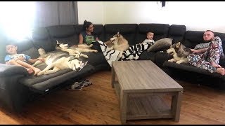 MY MORNING ROUTINE! | YOUNG MOM OF 2 BOYS &amp; 4 SIBERIAN HUSKIES! | RAW FOOD DIET | LAZY SUNDAYS!