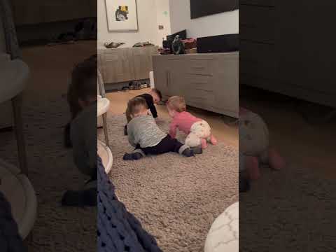Niko and Enzo teaching Baby Bella how to crawl on her first birthday!