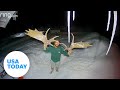 Ring video captures a moose shedding massive antlers with one shake | USA TODAY