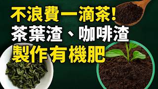 0元製作! 喝完的茶葉渣、咖啡渣別浪費！超強有機肥這樣做！