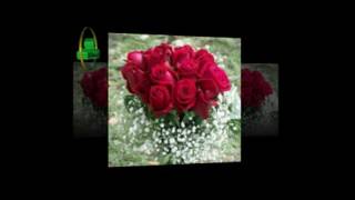 قصص- هاجر بوعبيد- العدد العاشر- مجلة الفن والأدب- اخراج: هايل المذابي