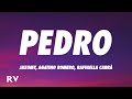 Jaxomy, Agatino Romero, Raffaella Carrà - PEDRO (TikTok Remix) (Lyrics)