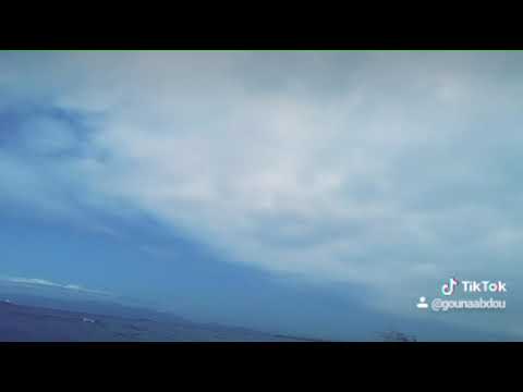 RED REBELS ✊❤⚪🔥