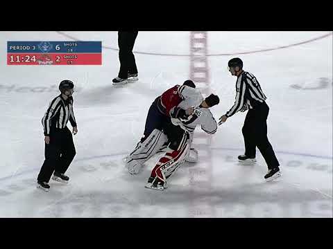 Hockey Goalie Fights