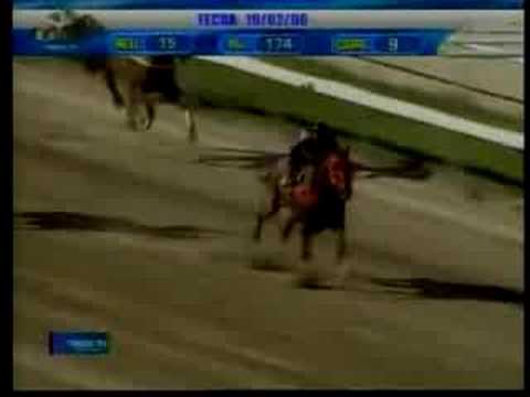 Clasico Hylander 2006