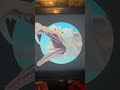 Katie Mitchell And Scrat Ice Age 2002 2009 2012 Gut Wrenching Scream