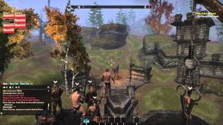 Budgie-Smuggling with Team Friendship in the Elder Scrolls Online