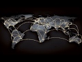 World Map Animation