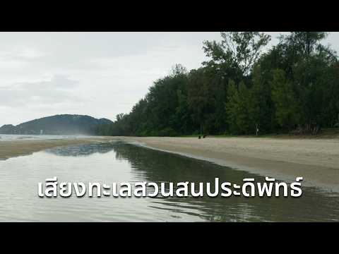 คลิกเพื่อดูคลิปวิดีโอ