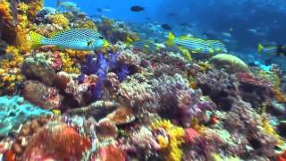 Everywhere - Jason Mraz (Brought Us Together)