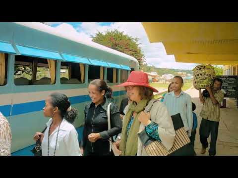 Island of Lemurs  Madagascar IMAX