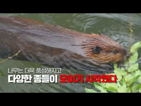 윤상현 국민의힘 당대표 후보