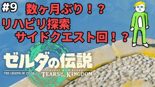 【ゼルダの伝説ティアキン】#９ 待たせたなゼルダ！まだ待っててくれ！！【Vtuber】
