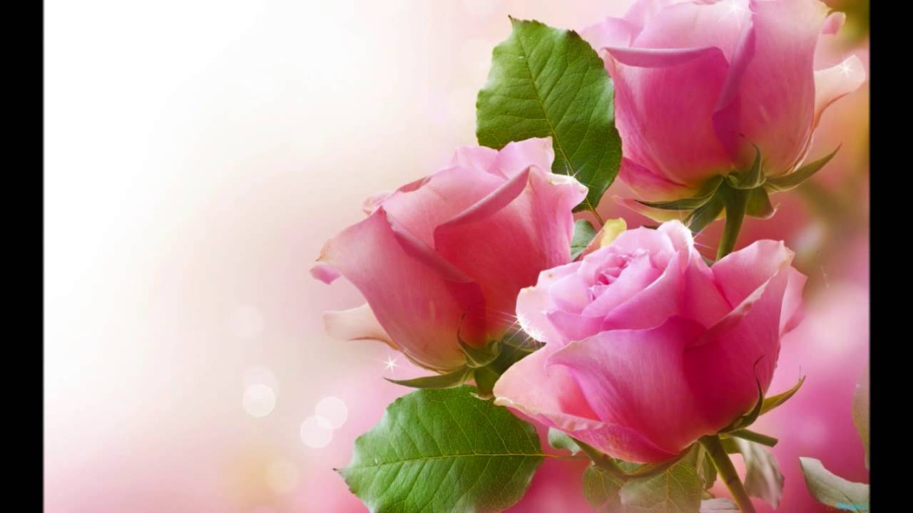 Raat Andheri Chamke Tare Lyrics | Dak Bangla | Zohrabai Ambalewali | Naresh Bhattacharya