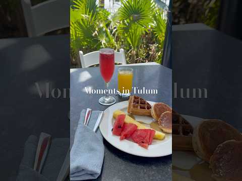 Moments in Tulum 🌴