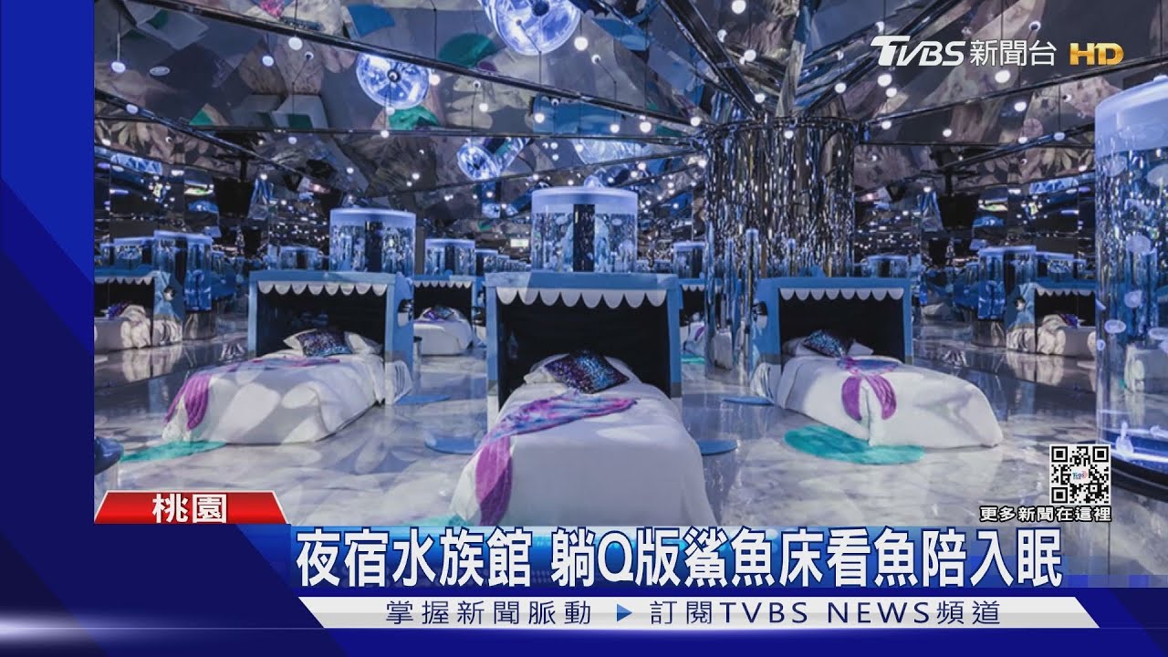 海洋嘉年華! 7M巨型水缸、水母悠遊超夢幻