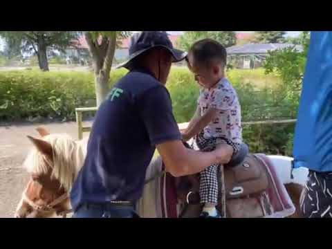 こども学科 【成長記録】ポニー初体験（2歳3ヶ月）