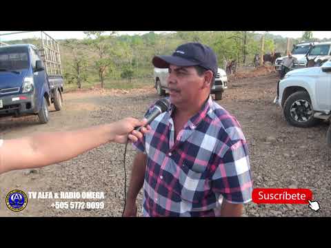 INAUGURAN CARRETERA EN COMARCA NAWAWAS, MUNICIPIO DE EL AYOTE