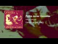 Pedro Javier Gonzalez | Callejon del gato | 1997 | Flamenco Guitar
