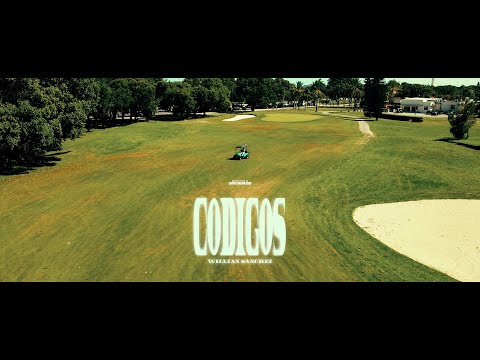CODIGOS - WILLIAN SANCHEZ ((FREESTYLE #2))