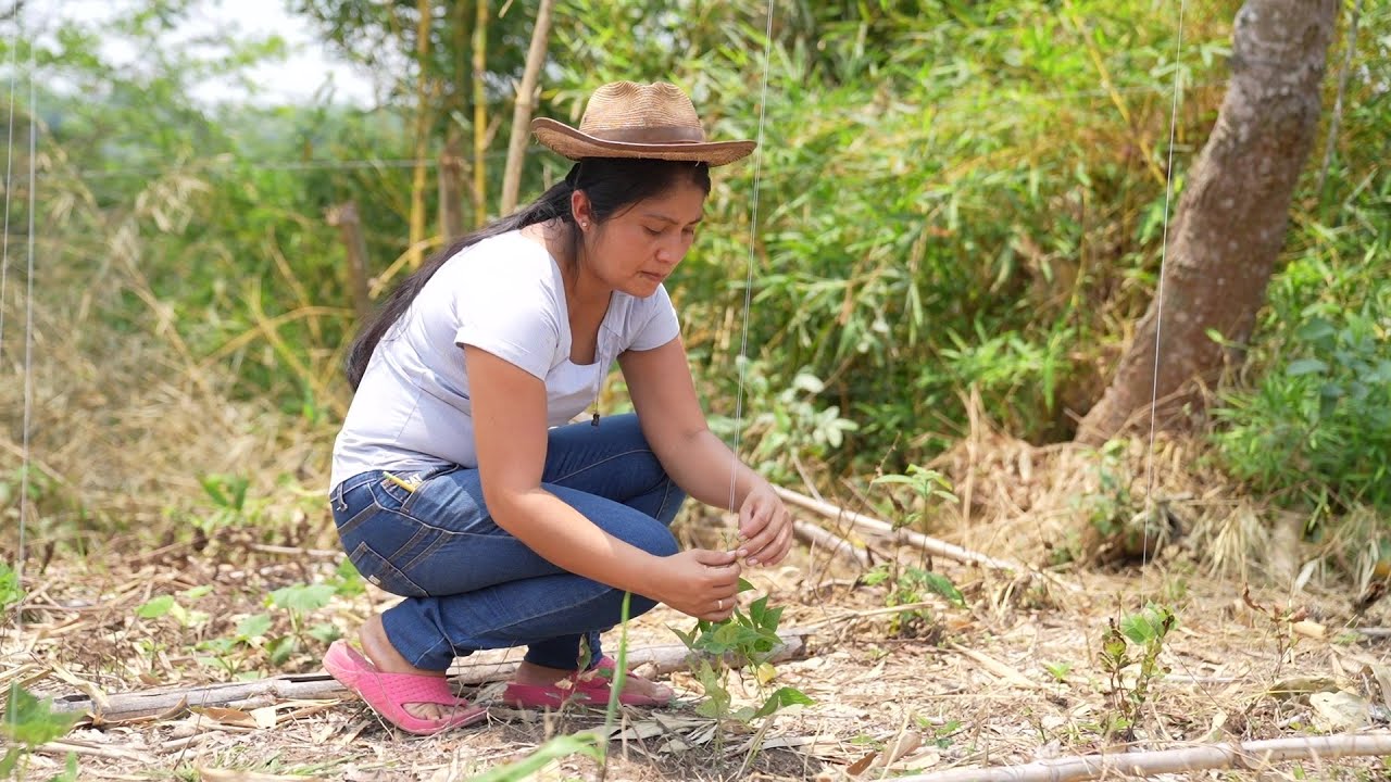 Historia de éxito | Mujeres agricultoras cosechando oportunidades
