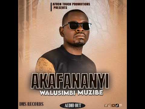 Akafananyi By Walusimbi Muzibe AUDIO 
