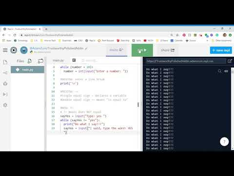 Python Assignment 4 While Loop Dot Notation Notes Video