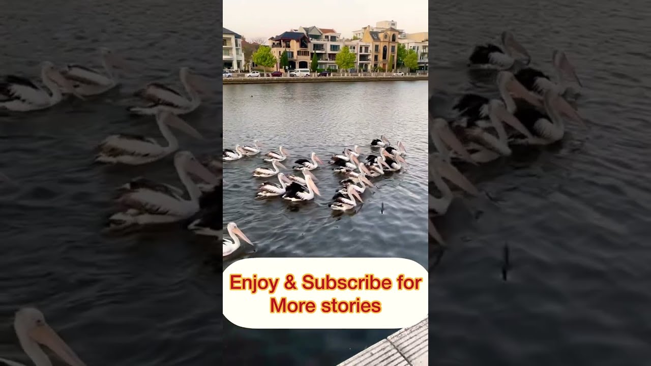 YouTube Short thumbnail