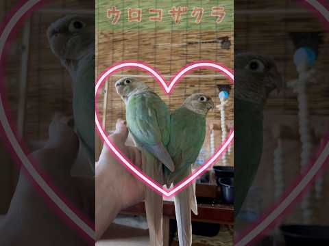 情報アイコン.svg