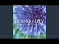 Shuman, Franck, DeBussy: Classics for Tranquility - Part 2