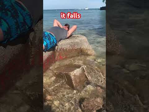 #facebook #instagood #youtube #top #trending #funny #viral #fyp #trend #instagood #instagram