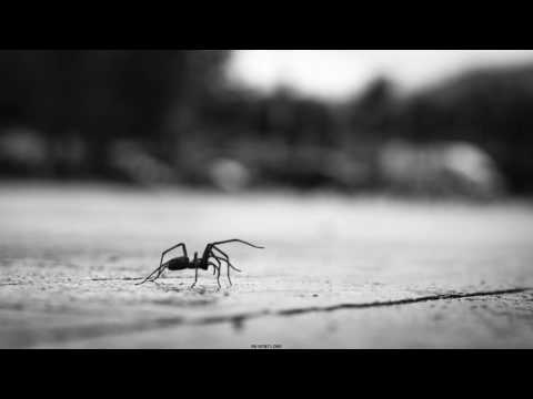 Street Photography by Thomas Leuthard 2016