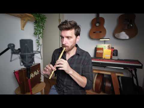 Fig for a kiss & The Butterfly - 2 Irish slip jigs on tin whistle