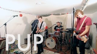 PUP - &quot;Reservoir&quot; on Exclaim! TV