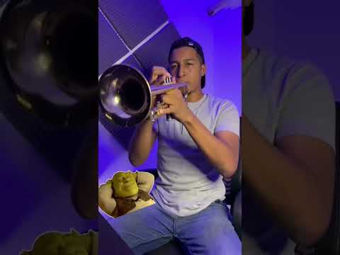 Basta Rogelio!! #shrek #trompeta  #disney  #tutorial #fyp #shorts #fiona #musica