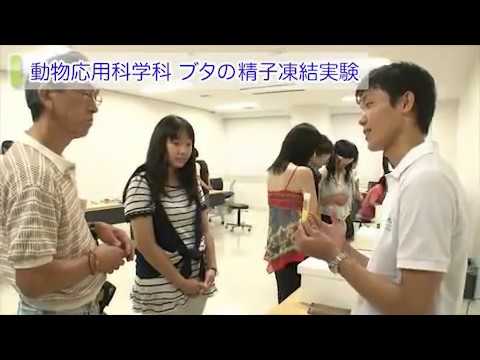 麻布大学 オープンキャンパス2013_3_実習体験コーナー