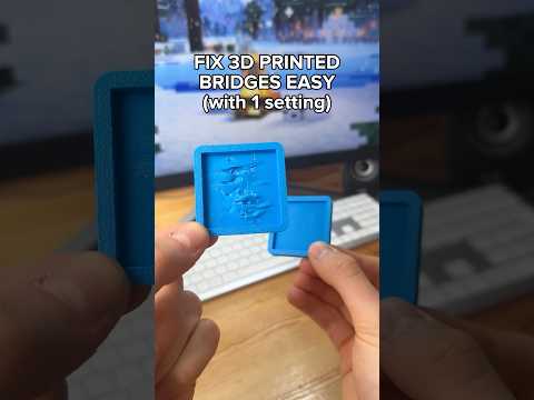 Fix 3D printed Bridges with a Single Test